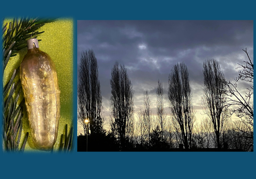 The Nigel Slater Christmas Chronicles Readalong 2024 Part 3