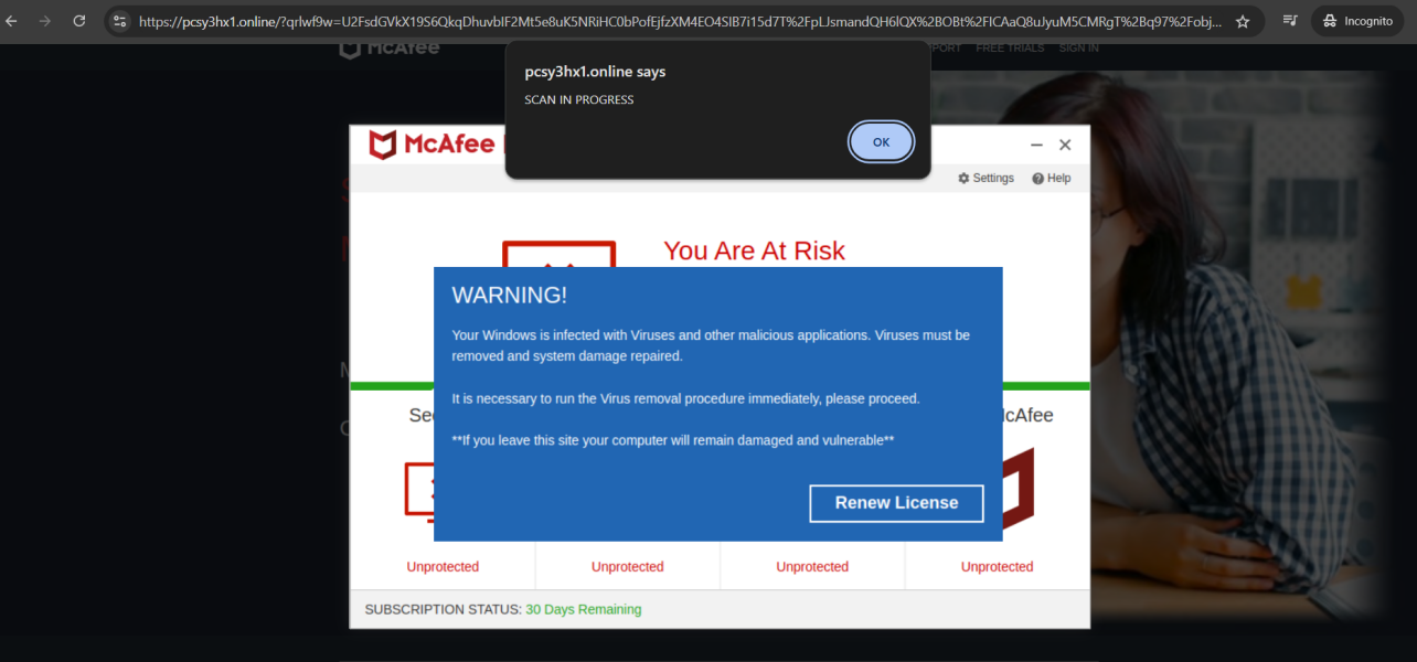 Virus scam appearing only  when on Mumsnet