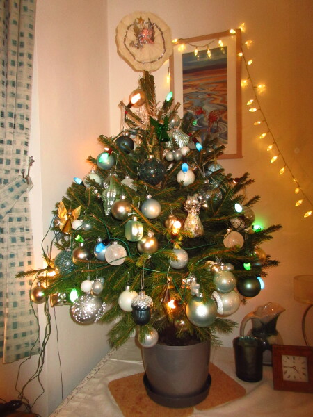 It's advent for the Playmobil people in our house...