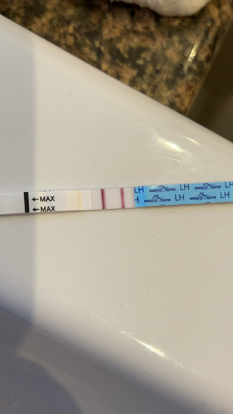 Ovulation 🤍 ttc after miscarriage
