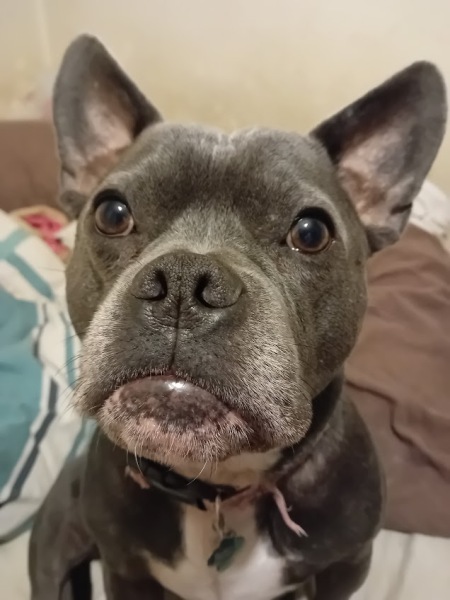 The Continuing Support Thread for Anyone Trying to Lead an Alcohol-Free Life Winter 2024