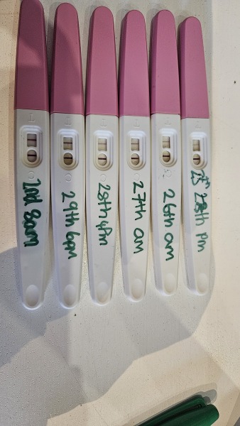 Confused by EPU scan and tests! Dates are confusing 😕