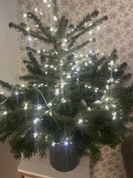 Small Christmas tree for someone who doesn't normally have a tree?