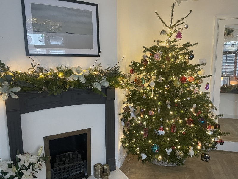 The Nigel Slater Christmas Chronicles Readalong 2024 Part 2