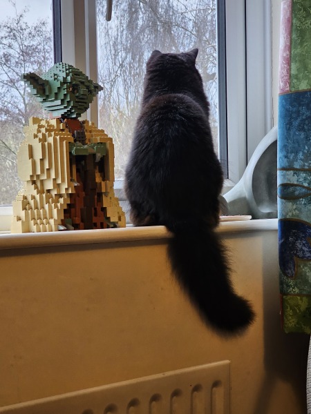 Tinsel, Glitter and Baubles - the Excellent Cats prepare to knock Everything off your Christmas Tree