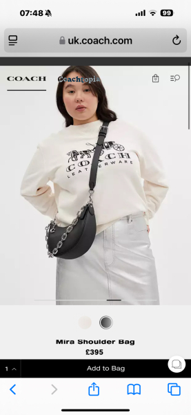 People with 17yo daughters- an expensive bag