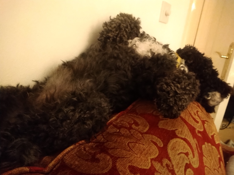 The Continuing Support Thread for Anyone Trying to Lead an Alcohol-Free Life Winter 2024