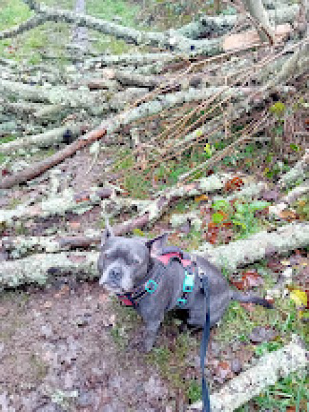 The Continuing Support Thread for Anyone Trying to Lead an Alcohol-Free Life Winter 2024