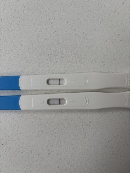 August 2025 Due Dates Club