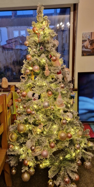Show us your Christmas trees