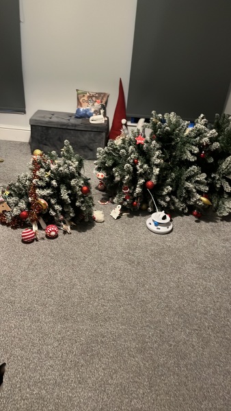 Tinsel, Glitter and Baubles - the Excellent Cats prepare to knock Everything off your Christmas Tree