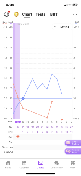 What does my bbt chart mean?