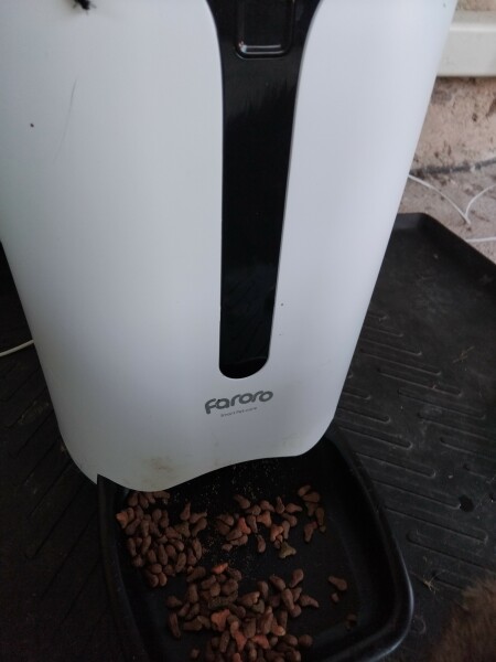 Can anyone recommend an automatic feeder please?