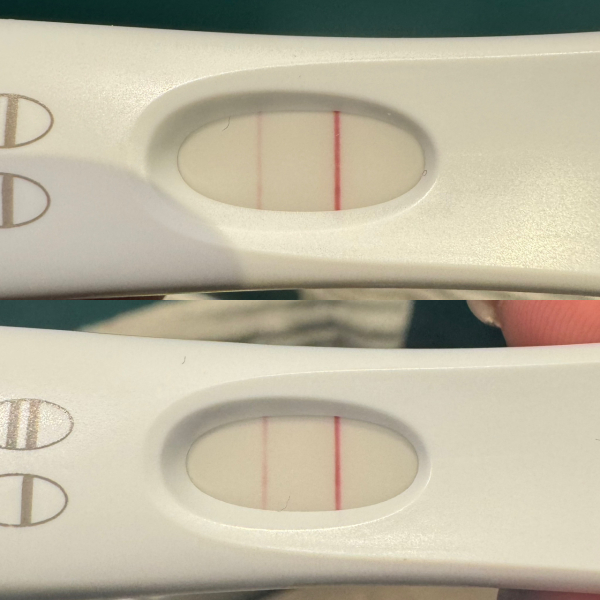 December TTC Support Group