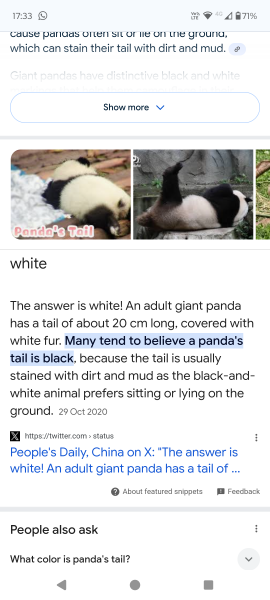 The Bluestocking - the one with the Christmas stocking