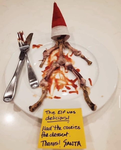 Anyone else absolutely not doing elf on the shelf?