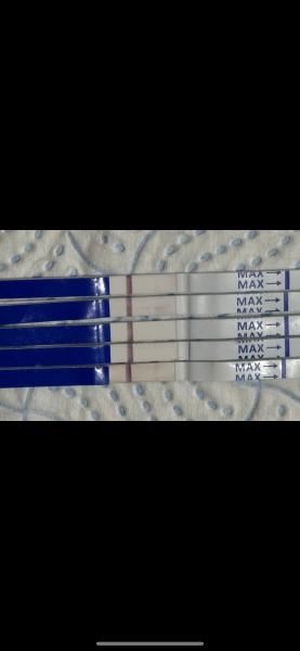 4 positive one step tests but negative clear blue digital