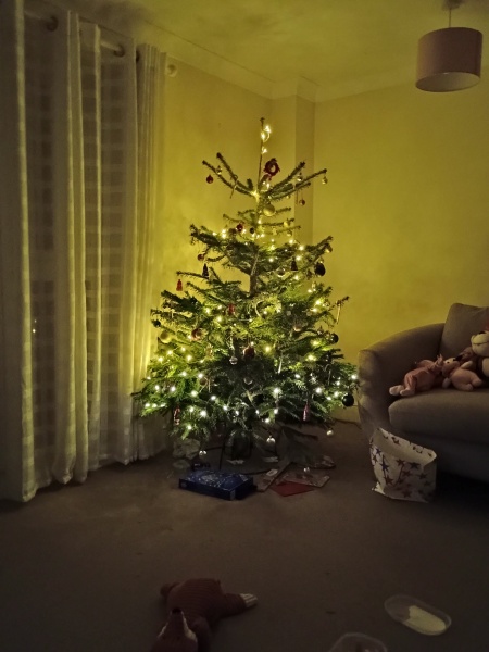 Poncetastic Christmas 2024