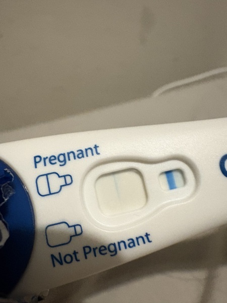 Clear blue test. Evap line or positive