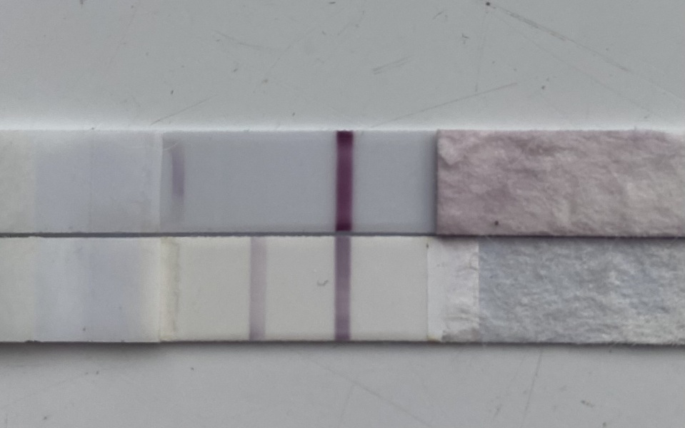 A line eye enthusiast #3