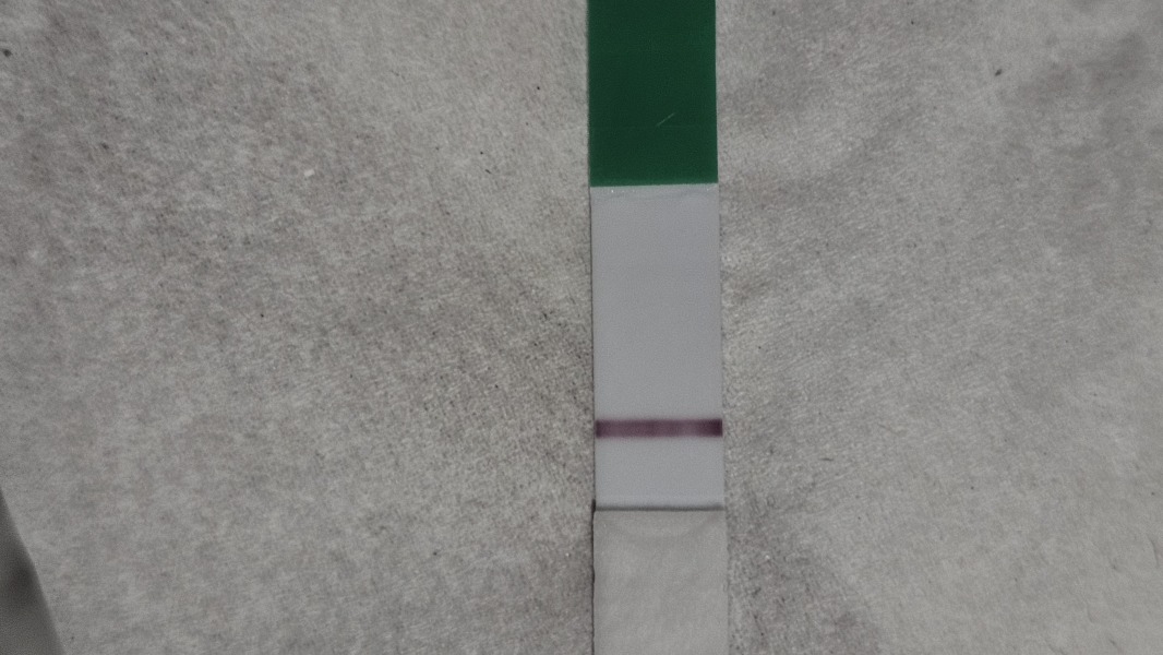 Is this implantation bleeding *trigger warning*