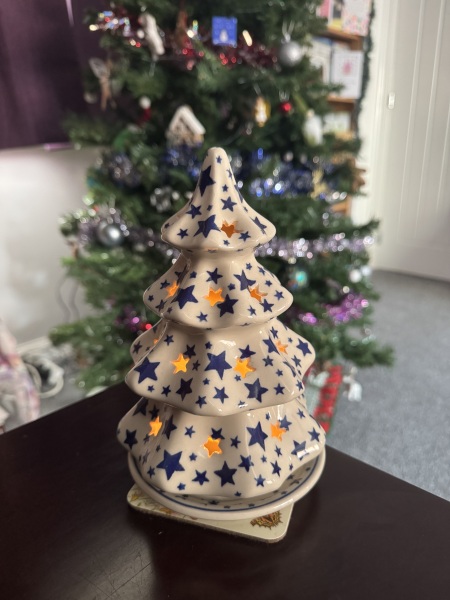 The Nigel Slater Christmas Chronicles Readalong 2024 Part 2