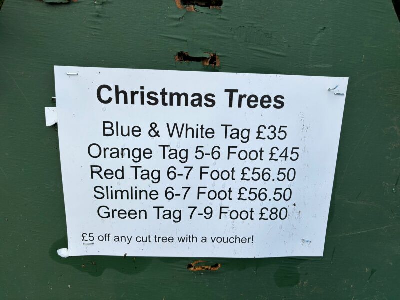 How much is a 6 foot Xmas tree in your area?