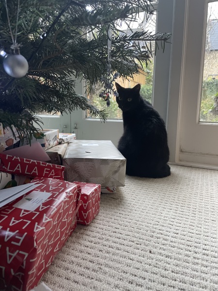 Thread 13 Starmer - facts are for lefties