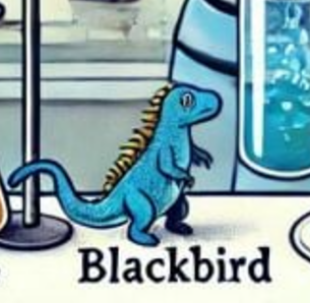 The Bluestocking - the one with the Christmas stocking