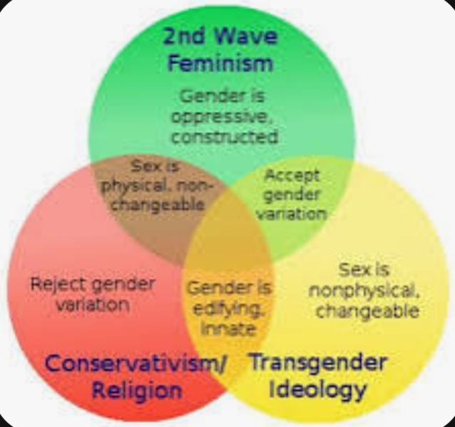 Republicans introduce bill to define ‘male’ and ‘female’ based on biological differences (US)