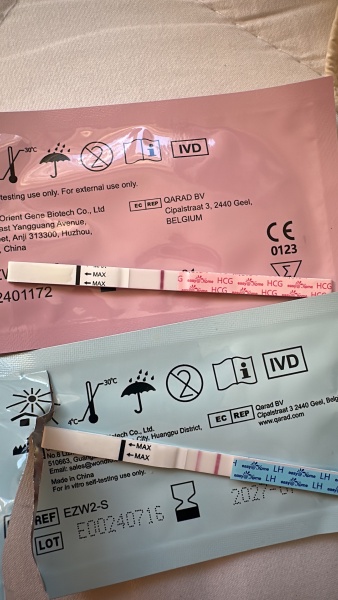 Help please! 2 days late on my period TTC after a miscarriage