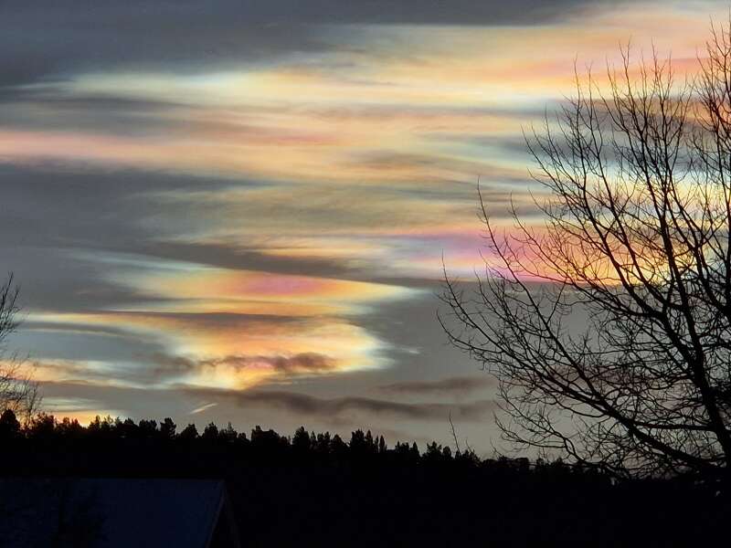 The Nigel Slater Christmas Chronicles Readalong 2024 Part 3