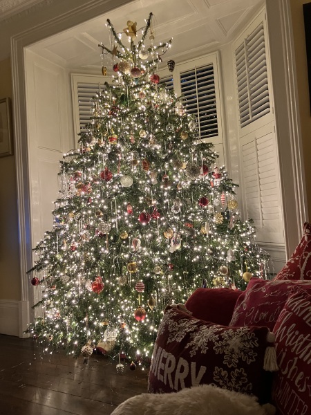 Show us your Christmas trees