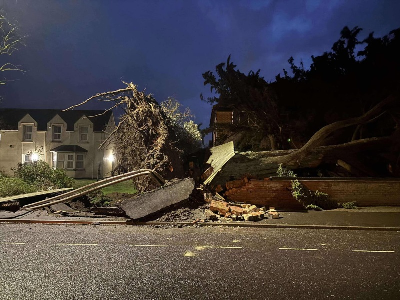 He’s been!! Storm Darragh brought me…….