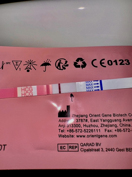 Is this pregnancy test positive?