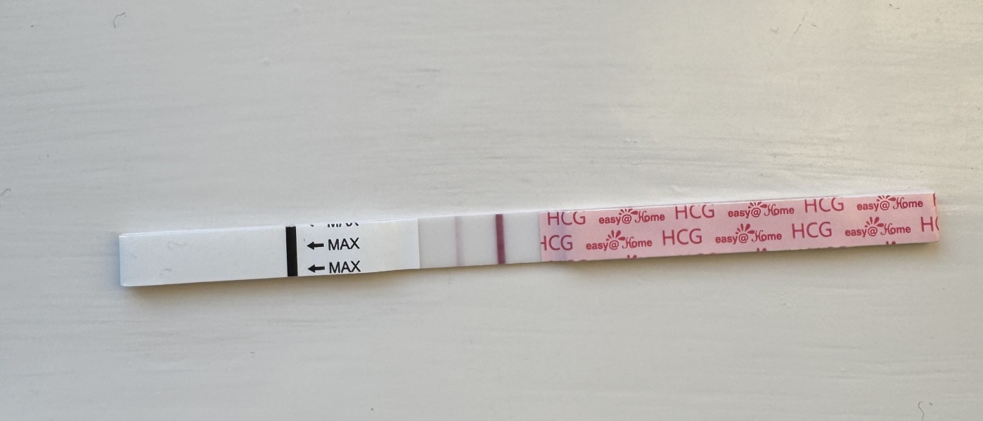 V early pregnancy