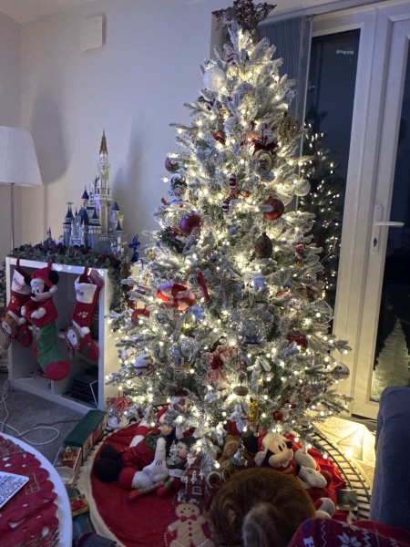 Show us your Christmas trees
