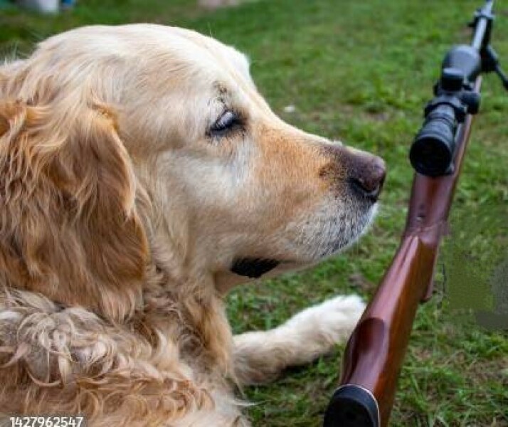 Man 42 dead from another dog attack
