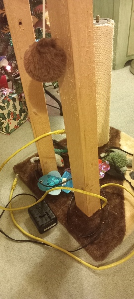 Tinsel, Glitter and Baubles - the Excellent Cats prepare to knock Everything off your Christmas Tree