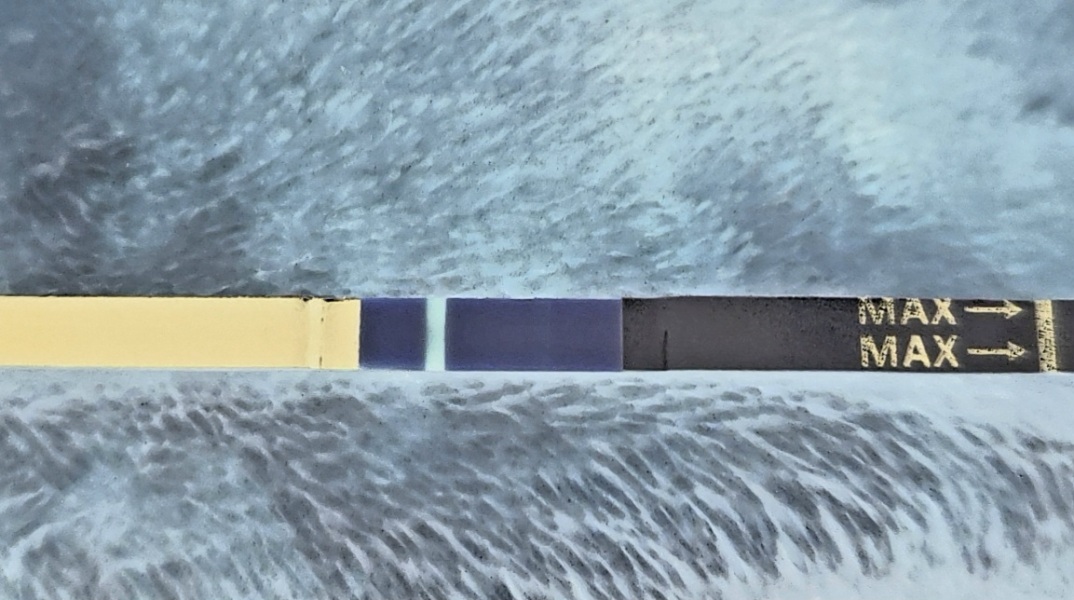 December 🤞🏼🎅🏼