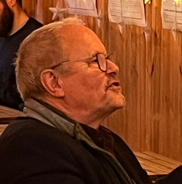 Tinsel, Glitter and Baubles - the Excellent Cats prepare to knock Everything off your Christmas Tree