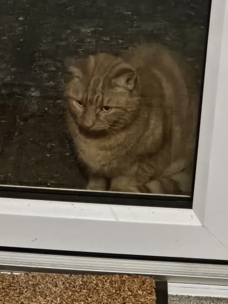 Thread 13 Starmer - facts are for lefties