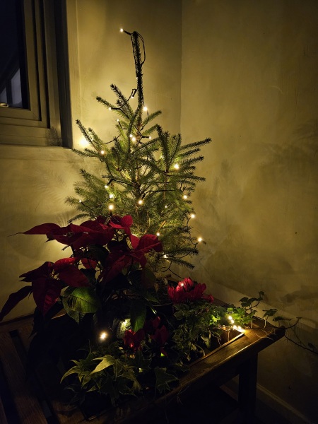 The Nigel Slater Christmas Chronicles Readalong 2024 Part 2