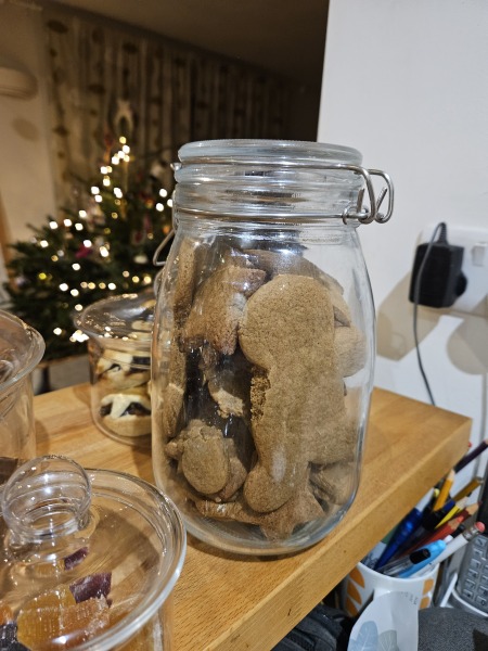 Poncetastic Christmas 2024