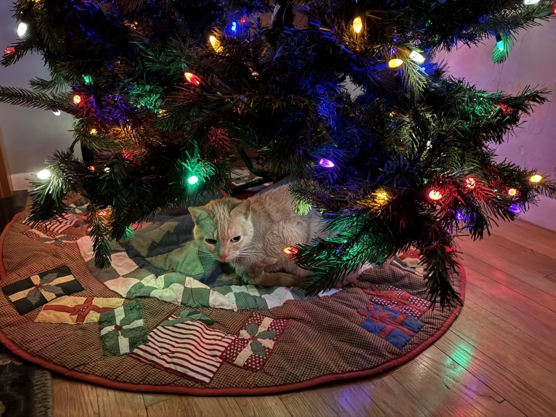 Come and tell us your dull and unexciting news 32: Calmly through the day