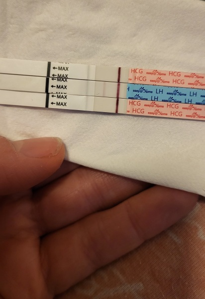 Just put me out of my misery!