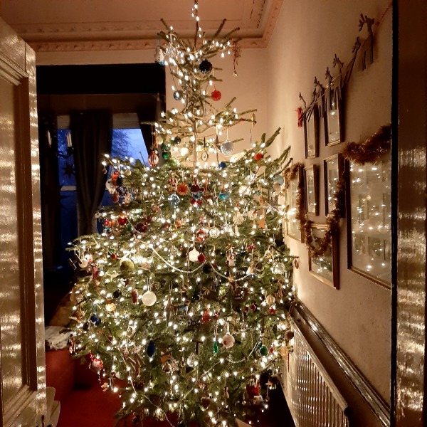 The Nigel Slater Christmas Chronicles Readalong 2024 Part 3