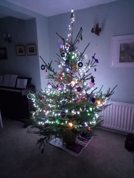 Show us your Christmas trees