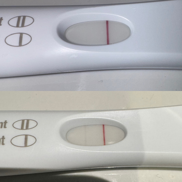 December TTC Support Group