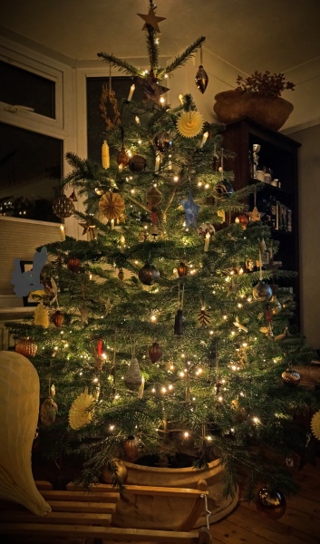 Show us your Christmas trees